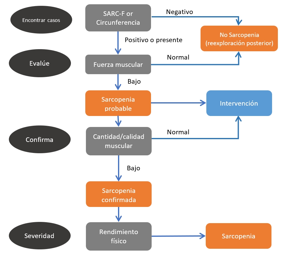 Sarcopenia Assessment Flowchart