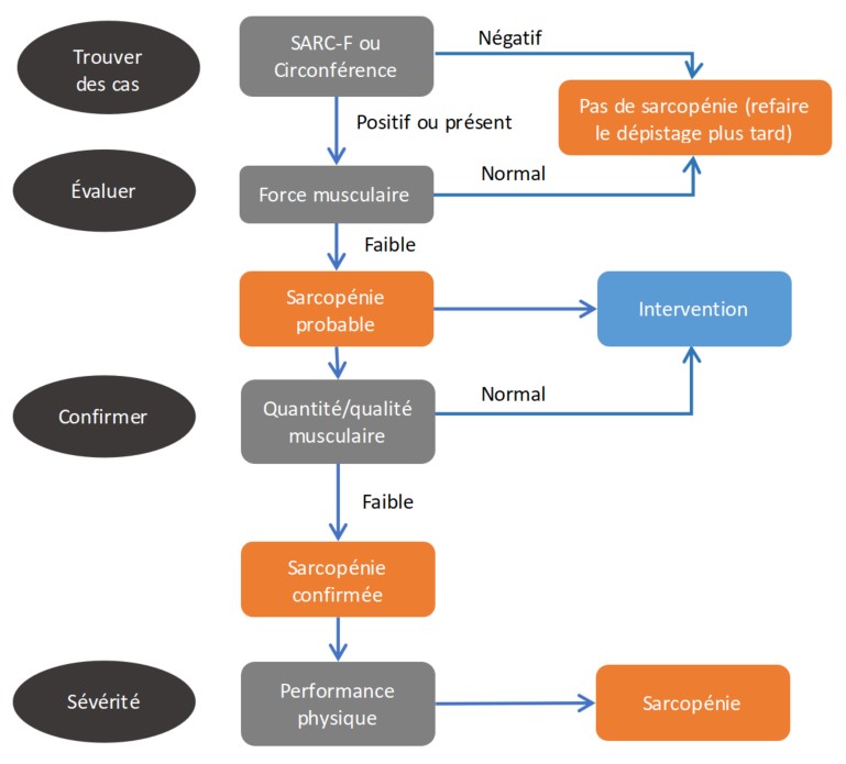 Sarcopenia Assessment Flowchart