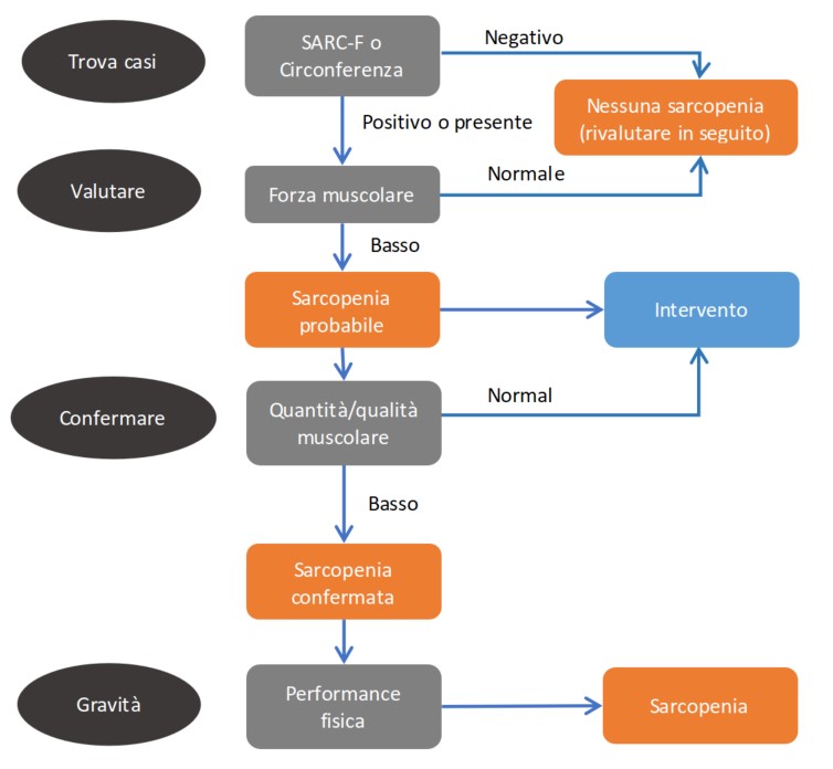 Diagramma di flusso per la valutazione della sarcopenia