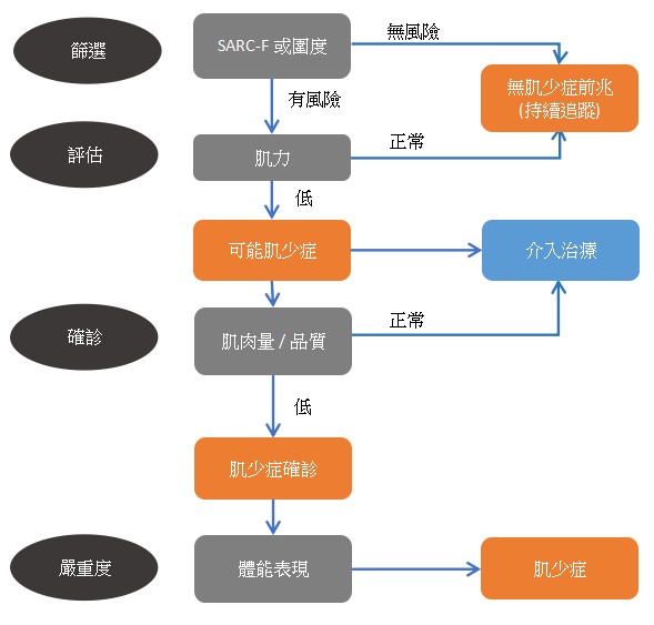 肌少症評估流程