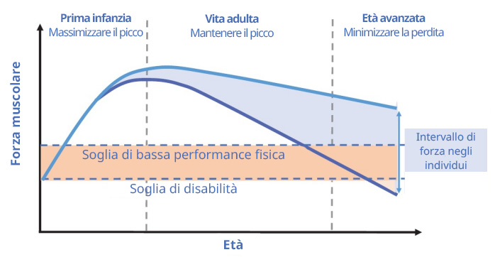 Forza muscolare