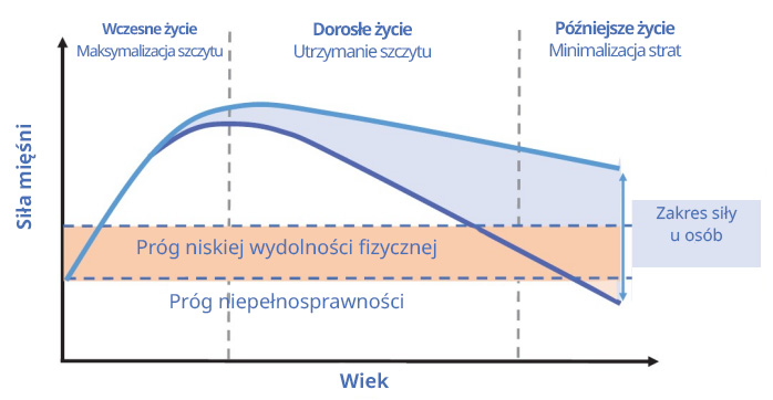 Siła mięśni