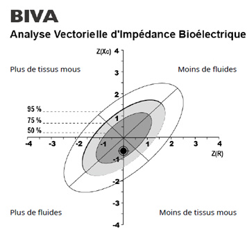 Bioelectrical Impedance Vector Analysis