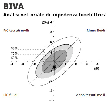 Analisi del Vettore di Impedenza Bioelettrica