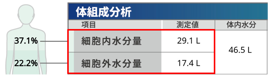 細胞內液和細胞外液