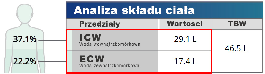 Woda wewnątrzkomórkowa i zewnątrzkomórkowa