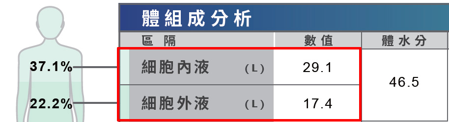 細胞內液和細胞外液