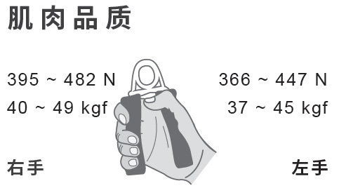 肌肉品质