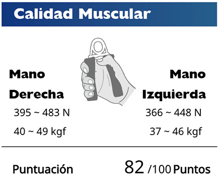 Muscle Quality