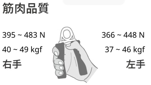 肌肉品質