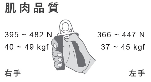 肌肉品質