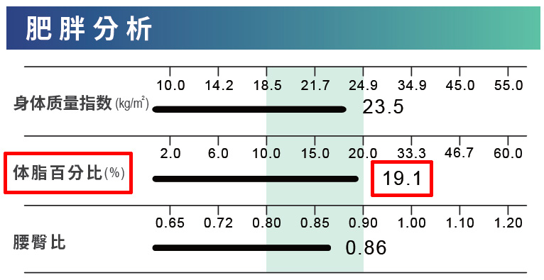 体脂肪百分比
