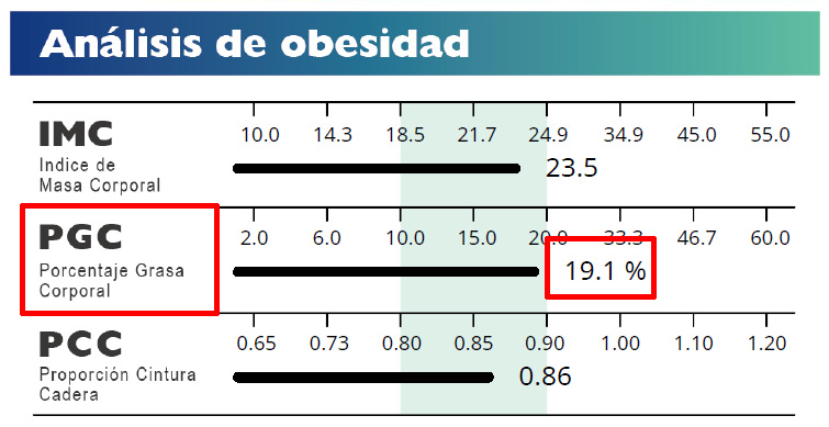 Obesit Analysis
