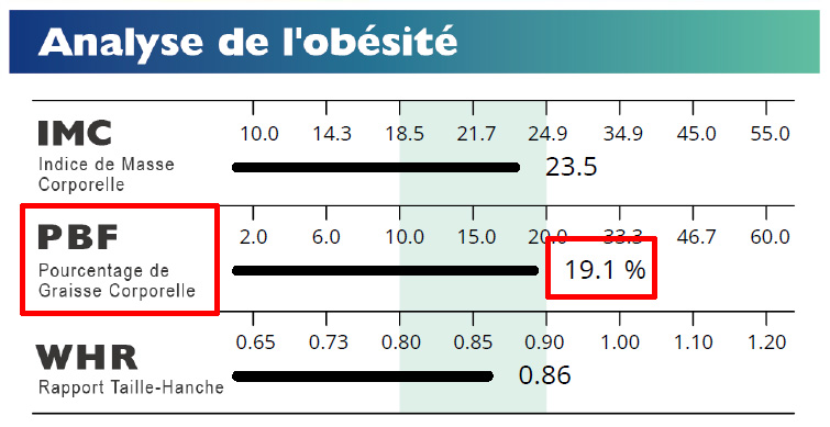 Obesit Analysis