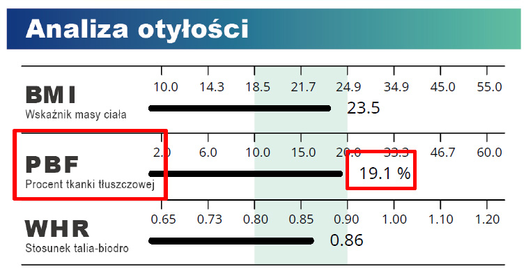 Analiza otyłości
