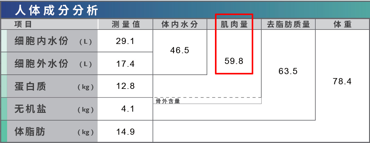 肌肉量
