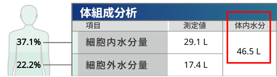 體水分