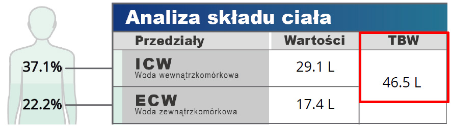 Całkowita woda w organizmie