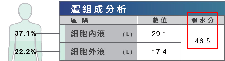 體水分