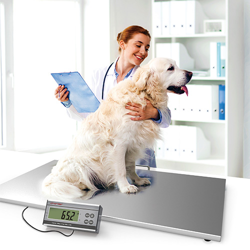 Custom ODM | Shaanxi Bloom Tech Custom ODM | Shaanxi Bloom Tech