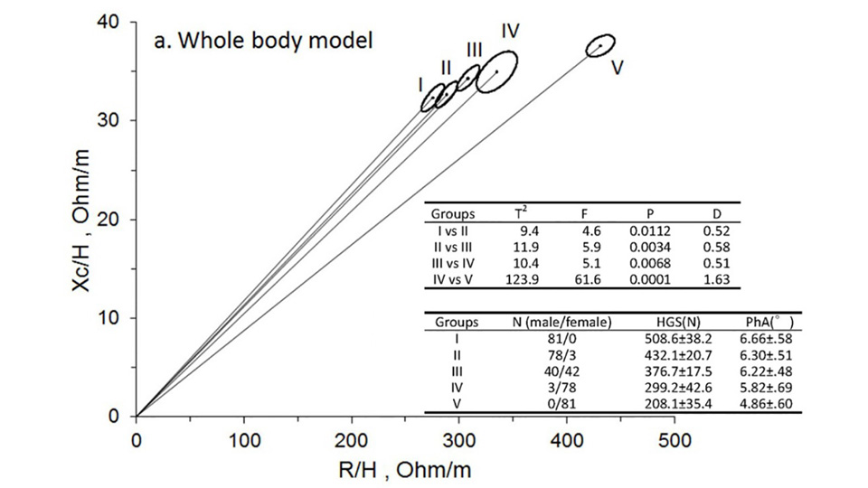Prediction of skeletal muscle function using BIVA