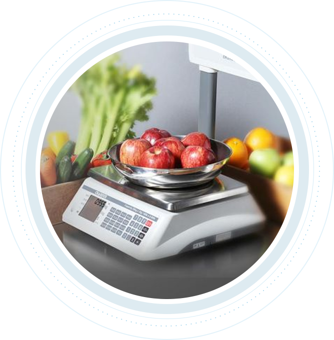 Food Services Food Services