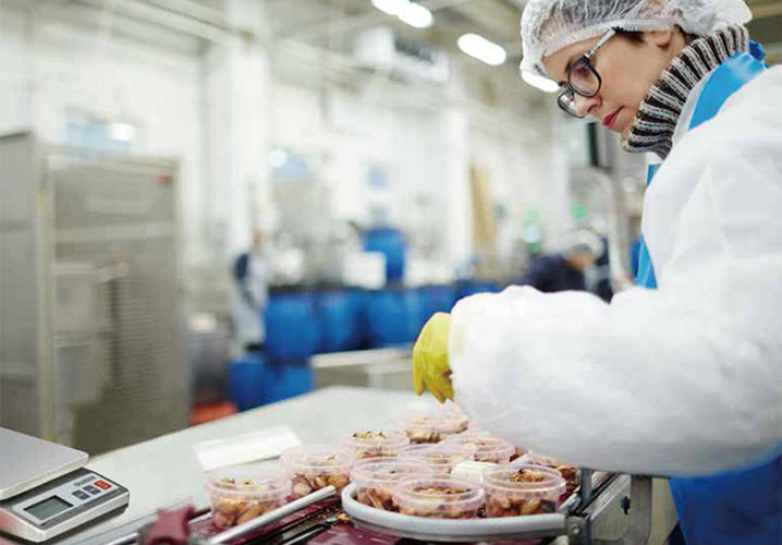 High-Precision Compact Food Scales for Portioning and Recipe Prep