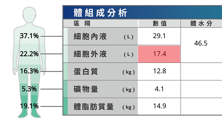 Charder In-Depth Body Composition Analysis for Rehab & Segmental