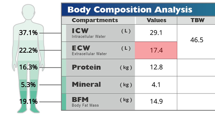 Charder In-Depth Body Composition Analysis for Rehab & Segmental