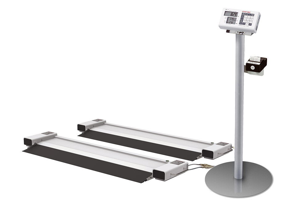 MS6000 Digital Bed Scale