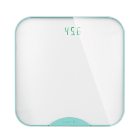 BTG-365 Wireless BMI Scale BTG-365 Wireless BMI Scale