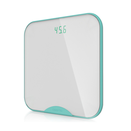 BTG-365 Wireless BMI Scale BTG-365 Wireless BMI Scale