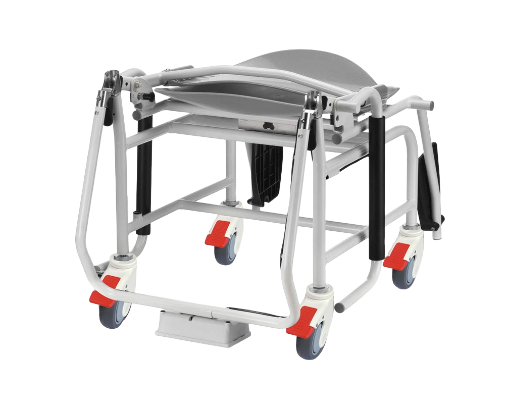 MS5460 Compact Chair Scale MS5460 Compact Chair Scale