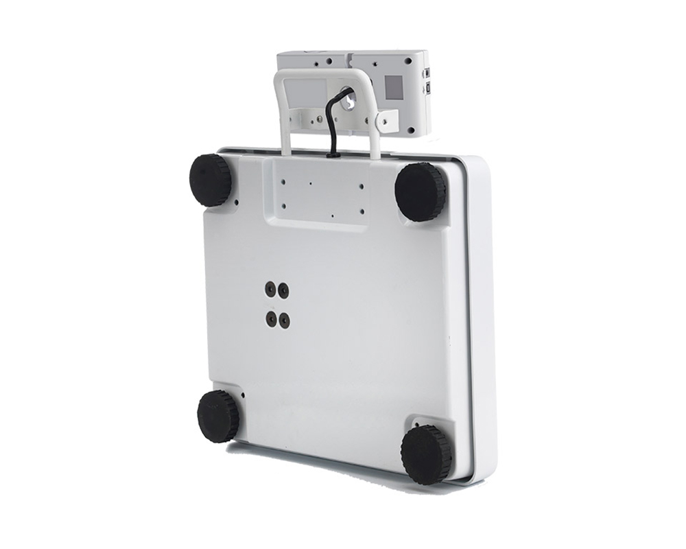 MS5751 Portable Medical Scale MS5751 Portable Medical Scale