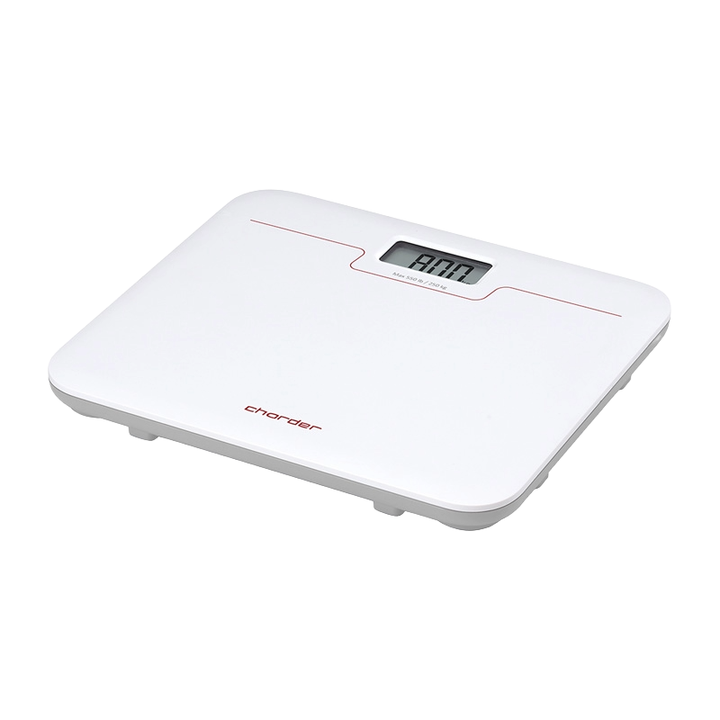 MS7321 Portable Digital Floor Scale MS7321 Portable Digital Floor Scale